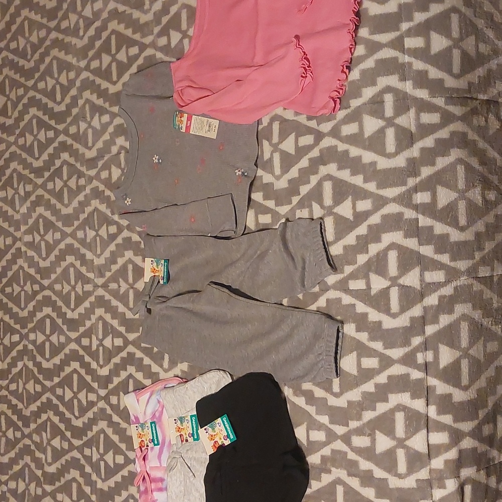 18 mo. Garanimals Lot